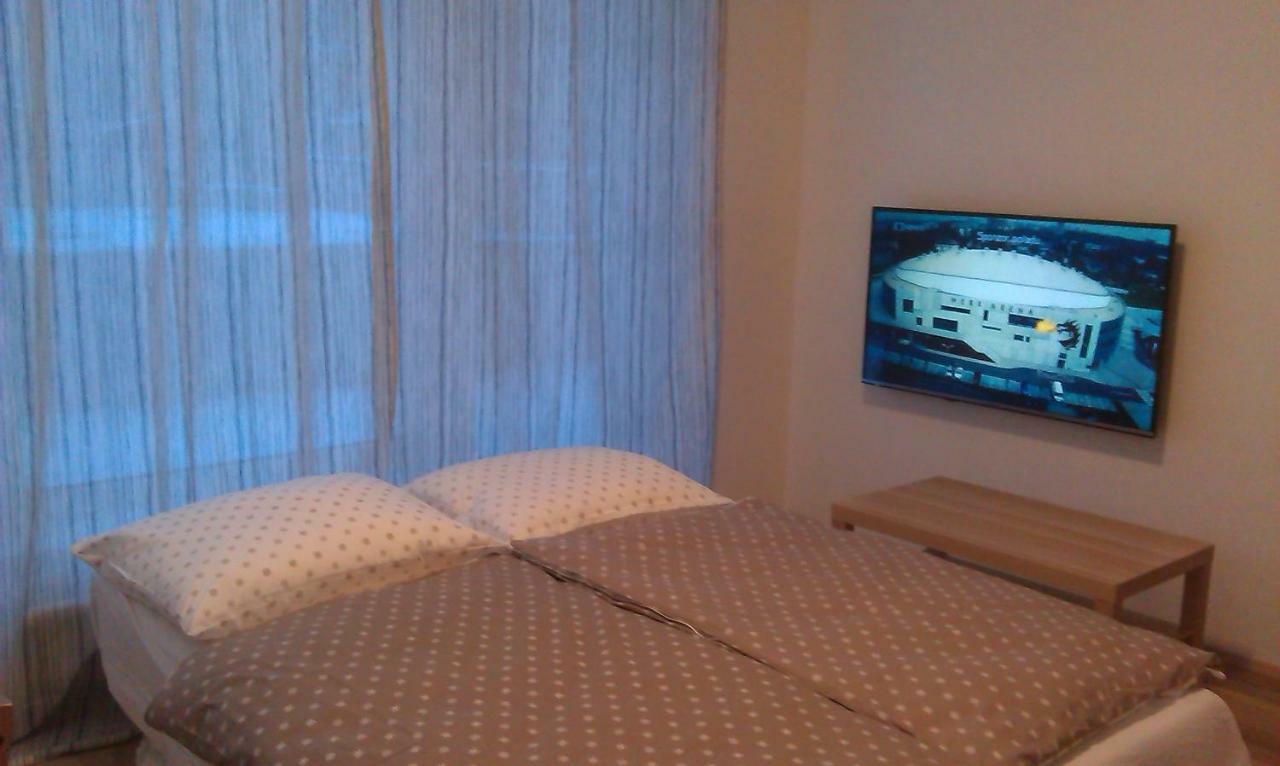 Sunny, Fully Furnished Studio Type With Terrace Plzeň Exterior foto